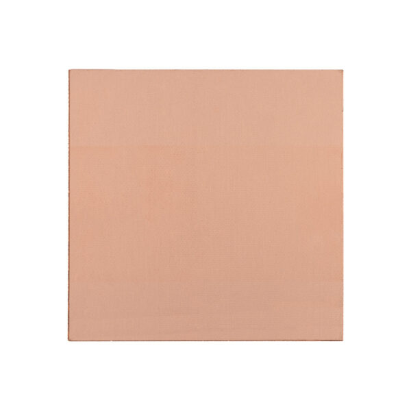 Mp7 REXANT 09-4021 100X100