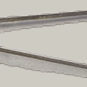 LED GM 5 mm светодиод