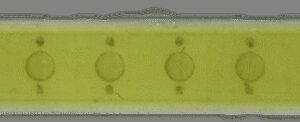 Led YC 100x8mm CW 5W 12-14V 450mah  светодиод